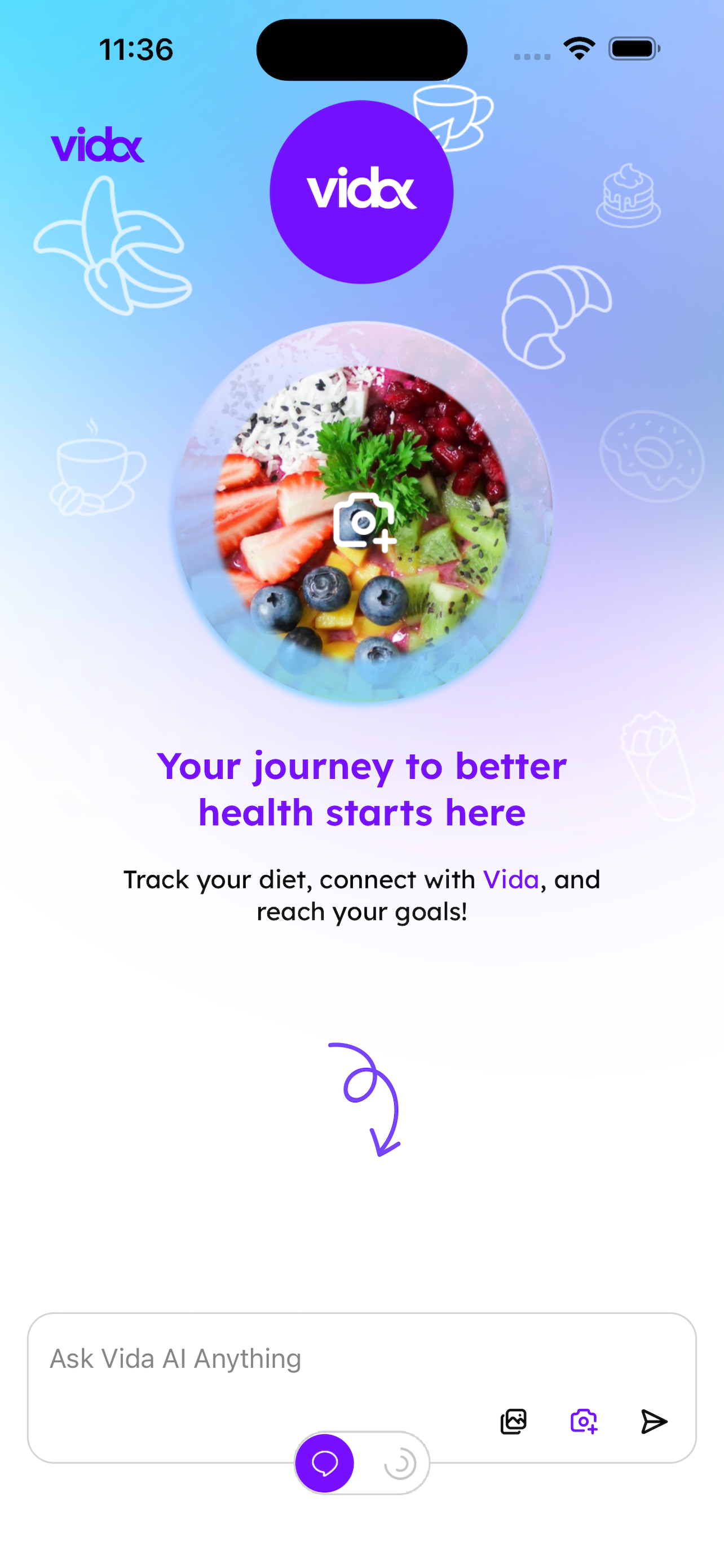 Vida Welcome Screen
